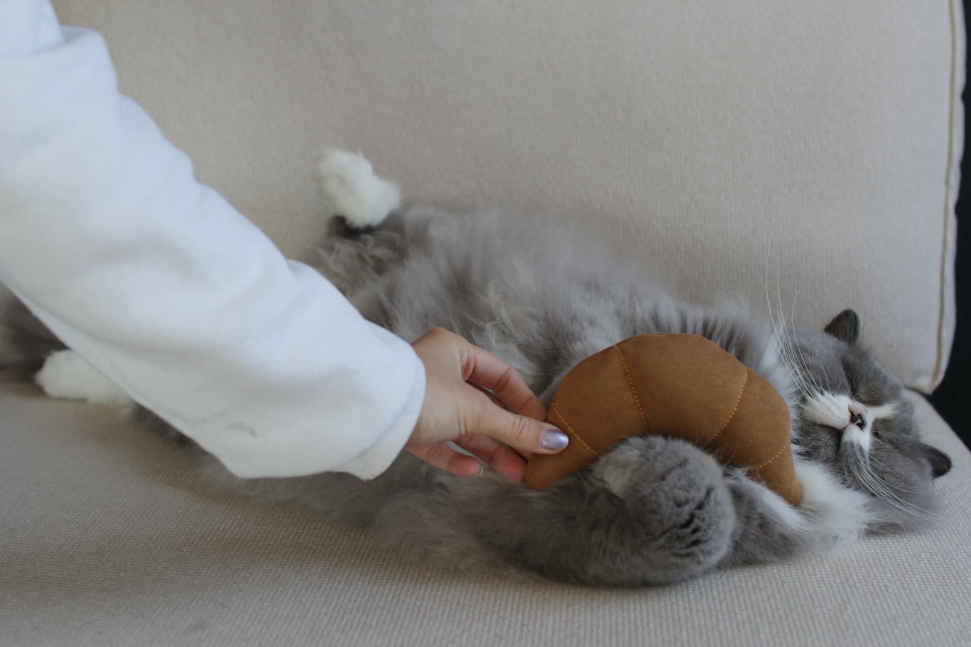 Pookie avec Le Croissant